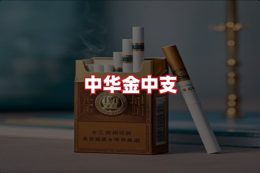中华金中支
